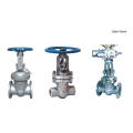 ANSI 16.5 B API600 Asme Cast Steel Wcb Gate Valve